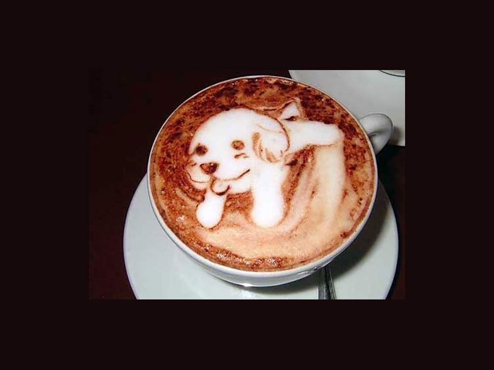 Dog Latte Art
