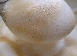 Best Milk for Frothing: Frothing Guide