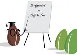 How is Coffee Decaffeinated?